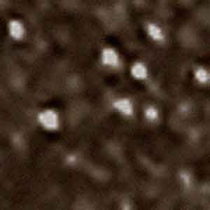 Viva Pietroluna вставка Dot Oak 1.5*1.5