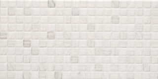Fanal Mosaico настенная плитка Mosaico Blanco 50*25