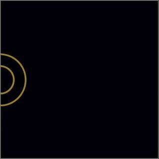 Bardelli Arianna Oro декор Arianna Oro 4N 20*20