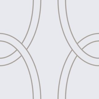 Bardelli Arianna Platino декор Arianna Platino 3L L.111 20*20