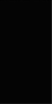 Viva Joy time настенная плитка Ardoise 20*40