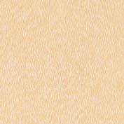 Напольная плитка 2sf0930 Fondo gres 30.5*30.5