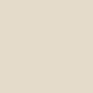 Casalgrande Padana Architecture керамогранит Light Ivory Antibacterial 60*60*9.4