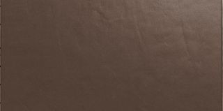 Casalgrande Padana Architecture керамогранит Light Brown Gloss 30*60*9.4