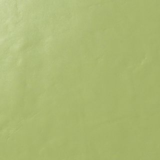Casalgrande Padana Architecture керамогранит Acid Green Gloss 30*30*9.4