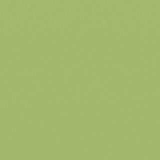 Casalgrande Padana Architecture керамогранит Acid Green 30*30*9.4