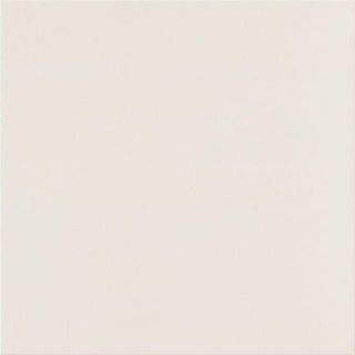 Casalgrande Padana Unicolore керамогранит Bianco B Antibacterial 20*20*8