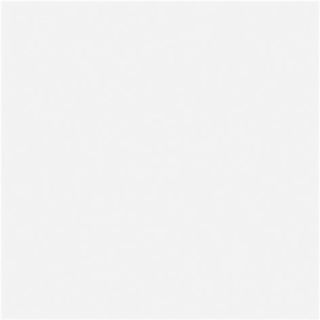 Bardelli Bodypark настенная плитка Bianco Extra 20*20