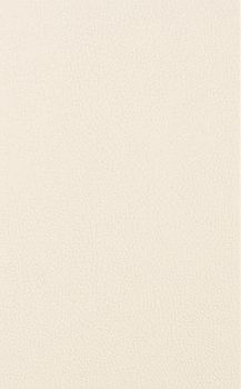 Aurelia Decor настенная плитка Naturale Avorio 25*40