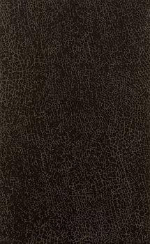 Aurelia Decor настенная плитка Naturale Nero 25*40