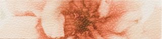 Aurelia Decor бордюр Inserto Fiore 2 25*6.5