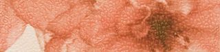 Aurelia Decor бордюр Inserto Fiore 5 25*6.5