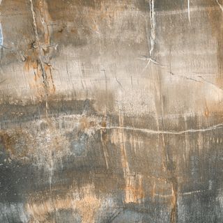 Lord Scultura Fossile керамогранит Bosco lap 49*49