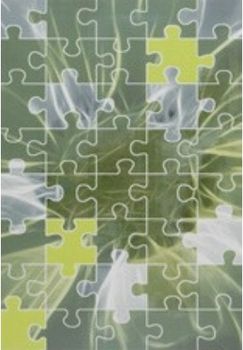 Azulejos alcor Lyon декор Dec. Puzzle Verde 31*45