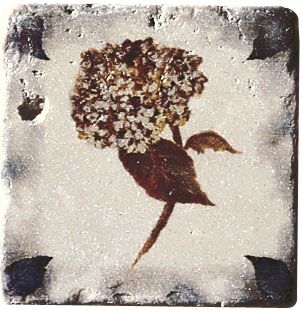 Cir & Serenissima Key-elements декор Ins.K-Flowers chiaro 10*10