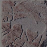 Cir & Serenissima Key-elements декор K-Animals Grey Inserto C 10*10