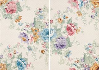 Peronda Provence декор D. Germaine mix2 47*33