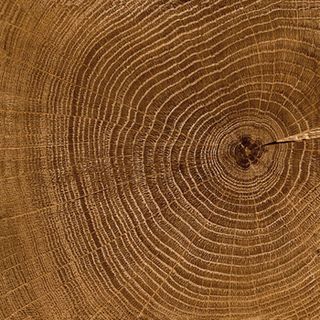 Vives Beksley/Sutton напольный Sutton Natural 20*20