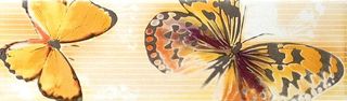 Kerama Marazzi Баттерфляй декор Декор Баттерфляй 8.5*28.5