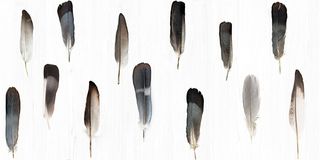 Настенная плитка Pluma 50*100