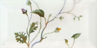 CAS Biselado декор Decor 2 Biselado Blanco Single 15*7.5