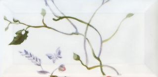 CAS Biselado декор Decor 3 Biselado Blanco Single 15*7.5