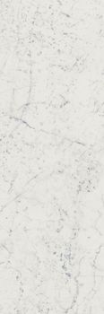 Italon Charme Extra Wall Project настенная плитка Carrara 25*75*8.5