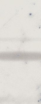 Italon Charme Extra Wall Project спец. элемент Carrara London A.E. 2*5