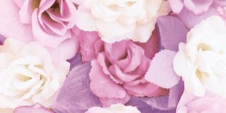 Brennero Blooming бордюр Blooming Lilla List. 20*10