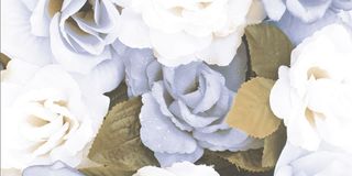 Brennero Blooming List. Blooming Bleu
