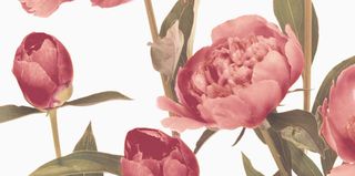 Brennero Blooming бордюр List. Blooming Bordeaux 20*10