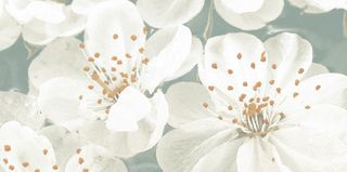 Brennero Blooming бордюр List. Blooming Giada 20*10