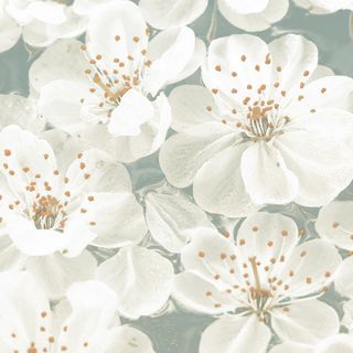 Brennero Blooming декор Dec. Blooming Giada 20*20