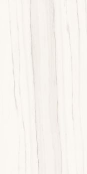 Ariostea Marmi Classici керамогранит Zebrino Bianco Soft 60*120*8