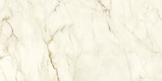Ariostea Marmi Classici керамогранит Calacatta Macchia Vecchia Naturale 60*120*8