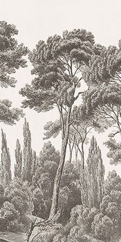 ABK Wide & Style керамогранит Acquaforte B 160*320