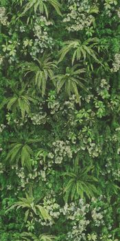 ABK Wide & Style керамогранит D+ Secret Garden 160*320