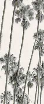 ABK Wide & Style керамогранит Hollywood C 160*320