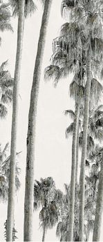 ABK Wide & Style керамогранит Hollywood A 160*320