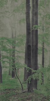 ABK Wide & Style керамогранит D+ Woods C 160*320