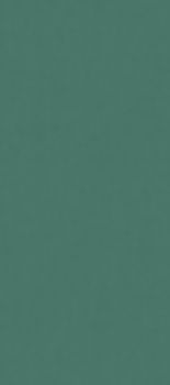 ABK Wide & Style керамогранит D+ Rainbow Bosco 120*280