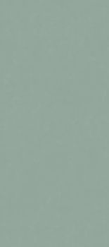 ABK Wide & Style керамогранит D+ Rainbow Salvia 120*280