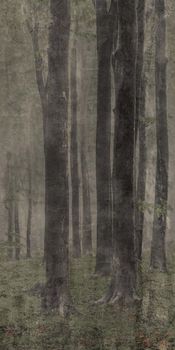 ABK Wide & Style керамогранит D+ Woods 120*240