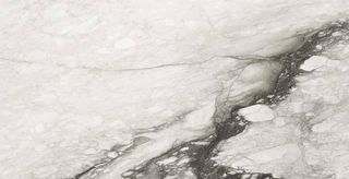 Rex Etoile керамогранит Renoir Glossy 160*320*6