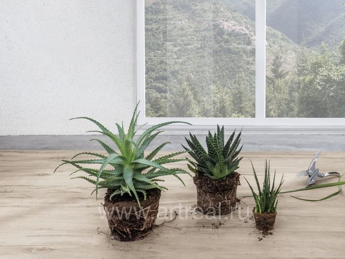 Laminam Legno Venezia Керамогранит Laminam Legno Venezia в интерьере