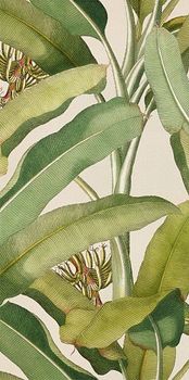 41zero42 Paper41 Pro керамогранит Musa 50*100*3.5