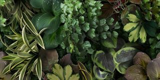 41zero42 Paper41 Pro керамогранит Jane C 50*100*3.5