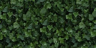 41zero42 Paper41 Pro керамогранит Jane E 50*100*3.5