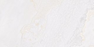 Fanal Planet керамогранит White Metal Shine 60*120