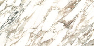 Museum Opera керамогранит Macchia Vecchia/60x120/EP  60*120